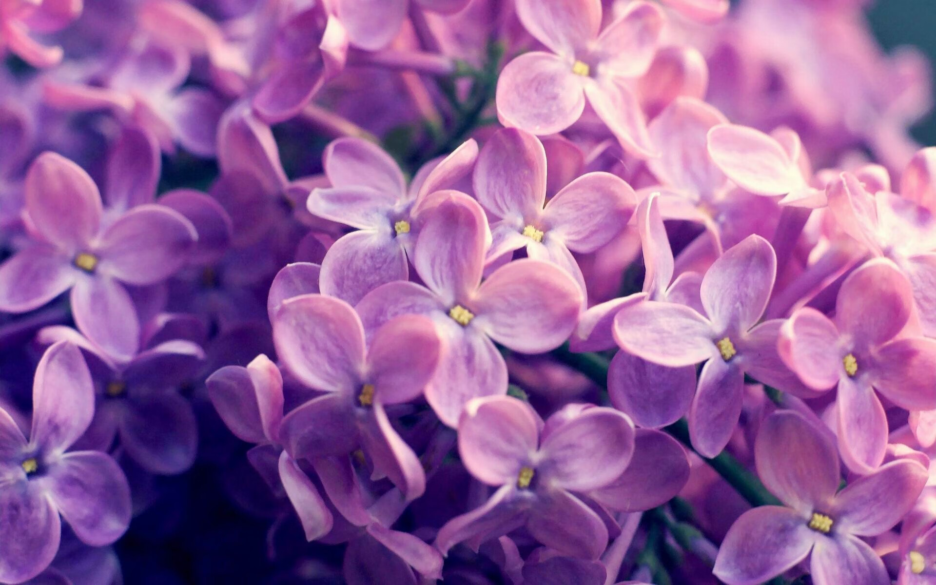 自由式滑雪世界青年赛中国队再夺金牌，中国选手在2021年自由式滑雪世锦赛