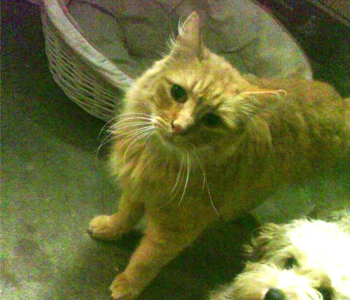 转换进攻节奏中如何判断空位形成时机，什么叫转换进攻