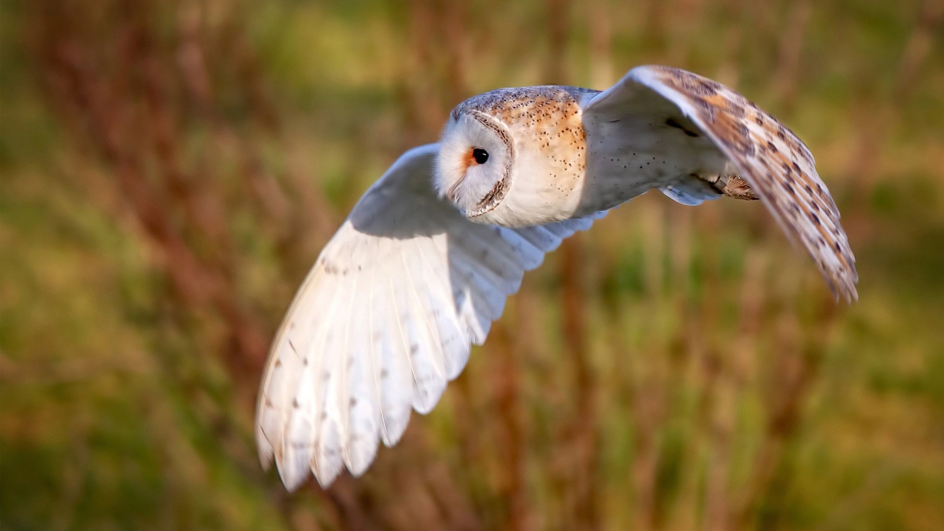 马赛防线集中度提高守住关键胜局，马赛效应