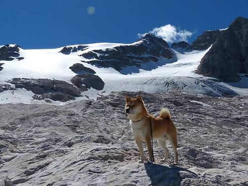 职业球员薪资体系为何难以匹配亚洲市场水准，球员的工资怎么这么高