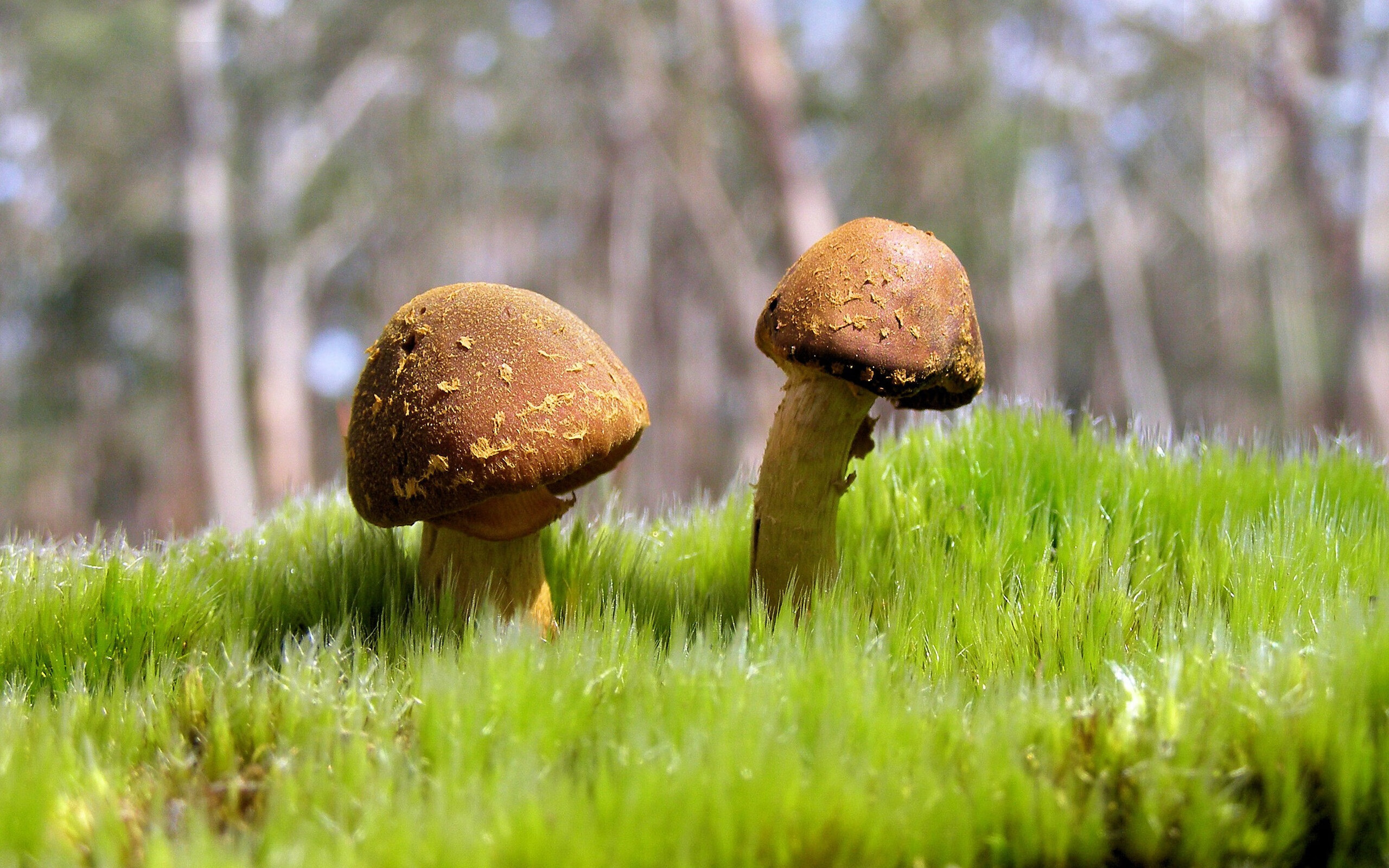 节奏突变对球队情绪管理是否具备正面作用，节奏变化的基本方式